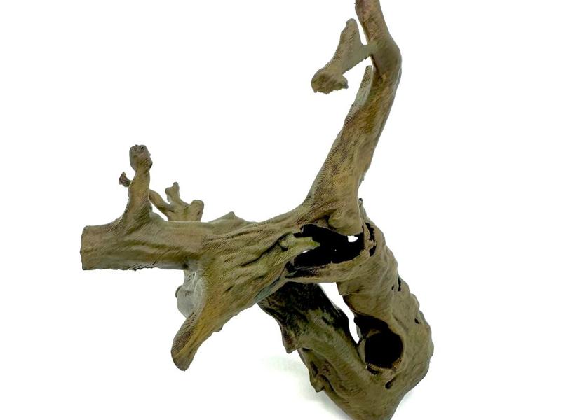 Jumping Spider Tree with Hiding Place
