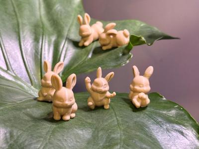 Mini Bunny Posers 