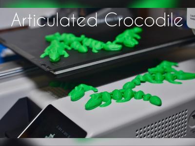 Mini Articulated Crocodile