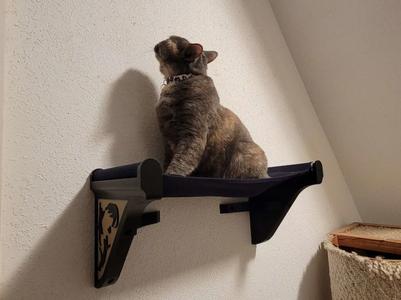 Cat Wall Hammock