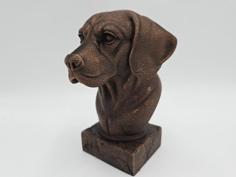 BEAGLE BUST