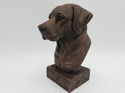LABRADOR BUST