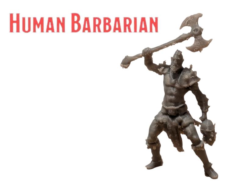 DnD Human Barbarian Miniature