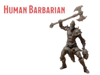 DnD Human Barbarian Miniature