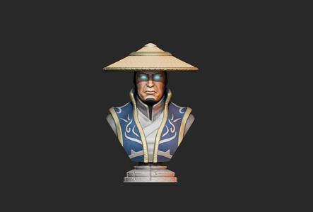 Raiden bust   