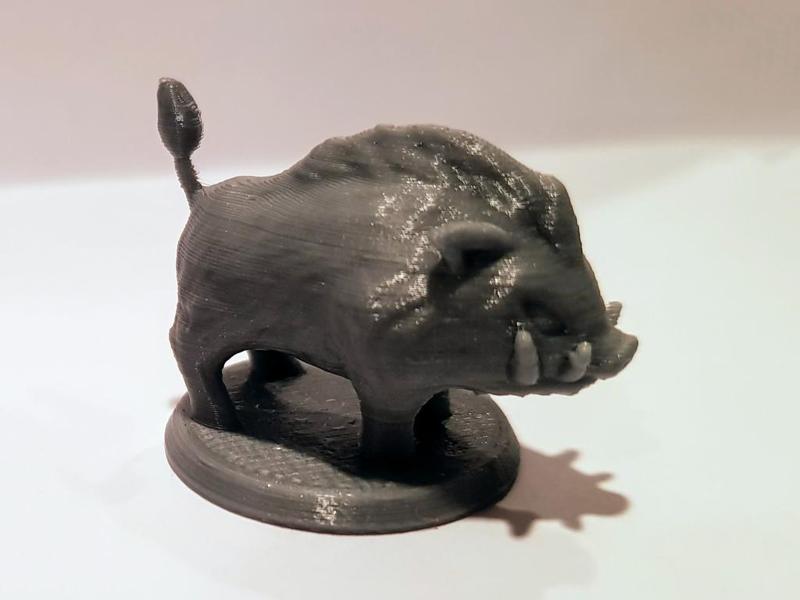 Boar