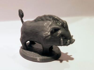 Boar