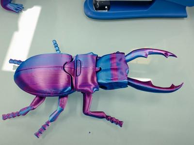 Articulated Stag Beetle