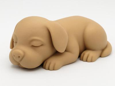 A Cute Sleepy Puppy 
