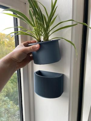Wall Planter - No nails/screws