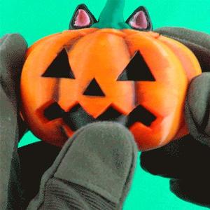 PUMPKIN SURPRISE