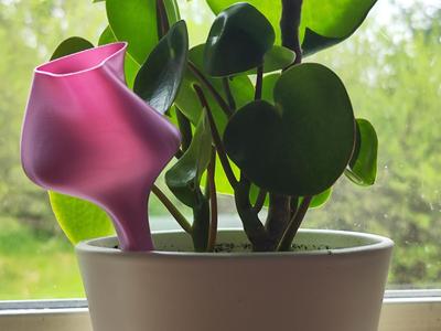 Plant Self Water Reservoir