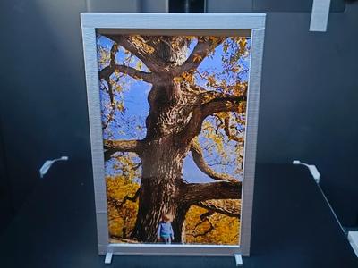 Photo frame