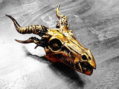 Dragon Skull # 247