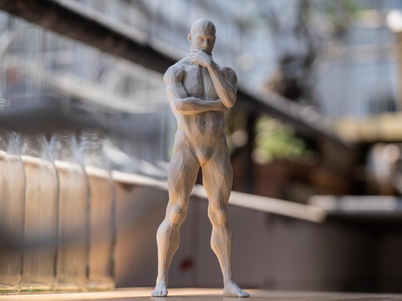 Muscle Man Series 008