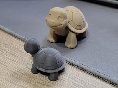 Cute little turtle George