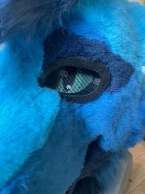 semi-realistic fursuit eye with rim