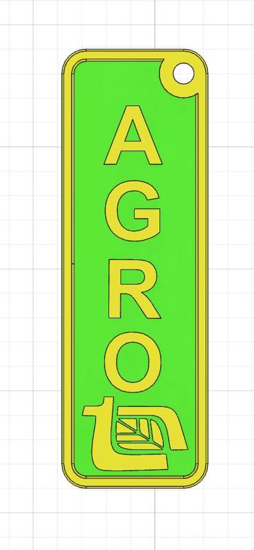 AGRO Keychain