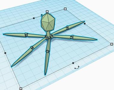 articulated bacteriophage