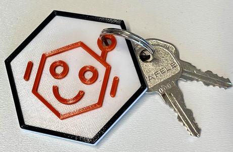 Robot Key Tag