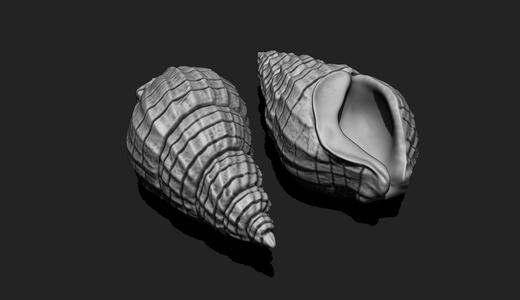 Shell 3 - 3D Print - Aquarium
