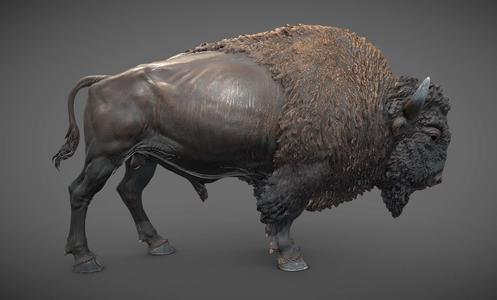 Bison - 3D Sculpting - High Poly