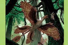 microraptor