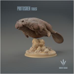 Protosiren fraasi : Family