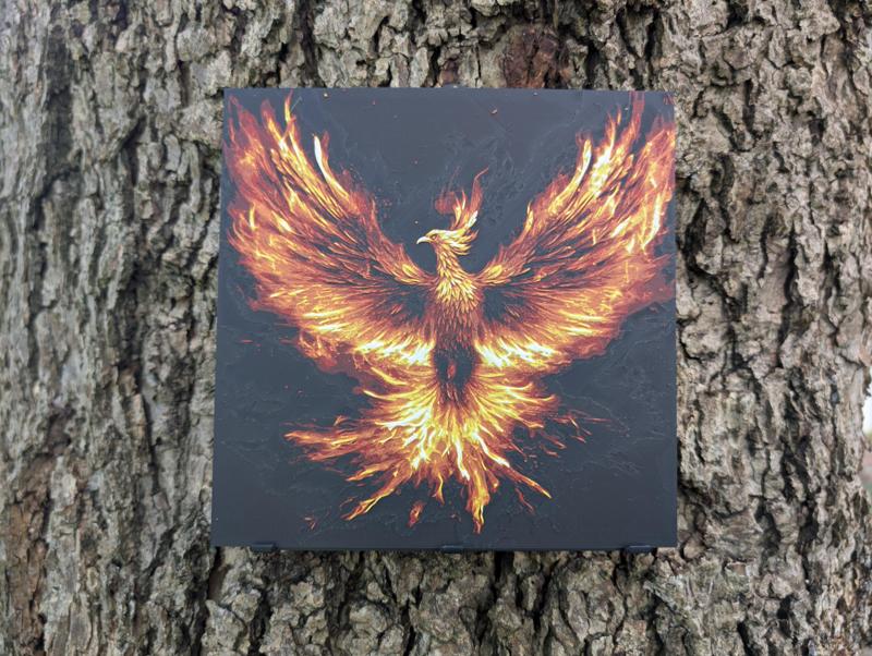 Magical Creatures - Phoenix Filament Painting