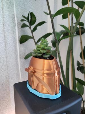 Mandoplant Saucer