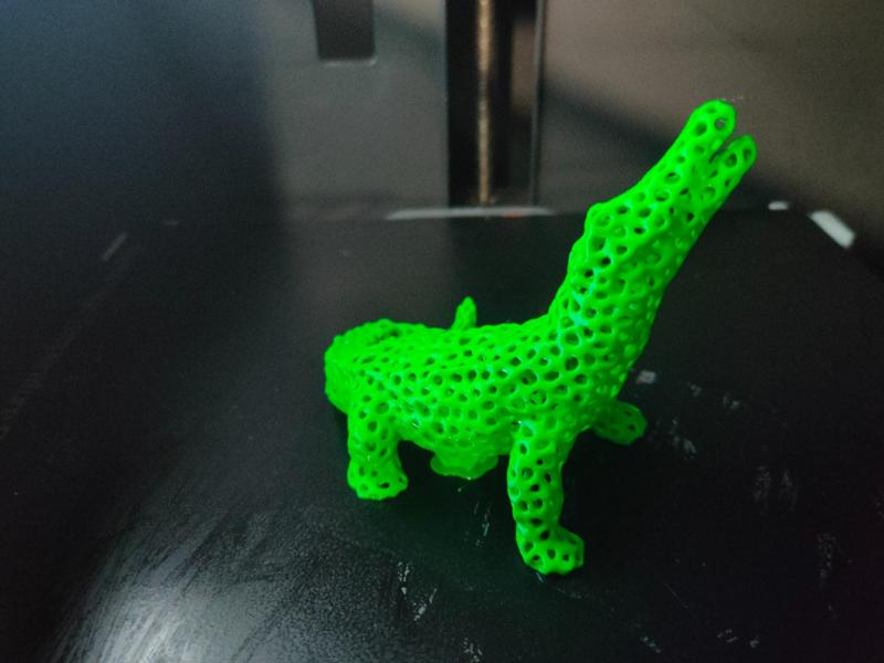 Voronoi Alligator