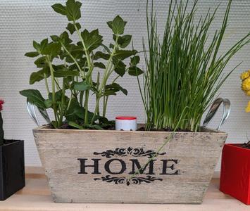 watering system for flower pots / Bewässerungssystem für Blumentöpfe