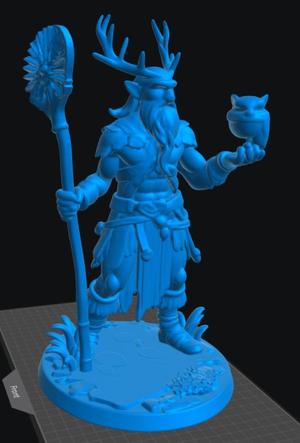 Elf Druid Male 3
