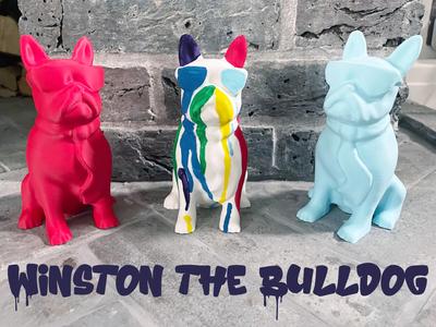 Winston the Bulldog! 