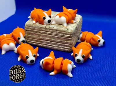 Little Butt Corgi
