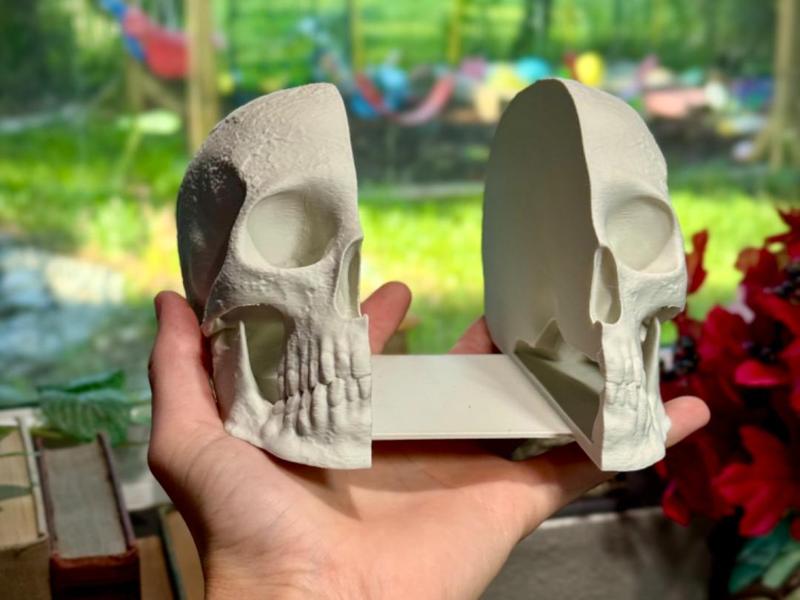 Skull bookends