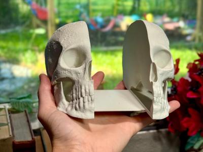 Skull bookends