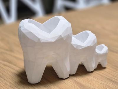 Teeth MOLAR  holder 012 P1S PETG faceted NIT