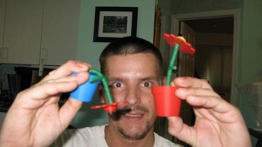 Flower - Push Puppet