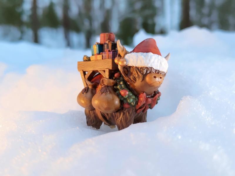Festive Coo