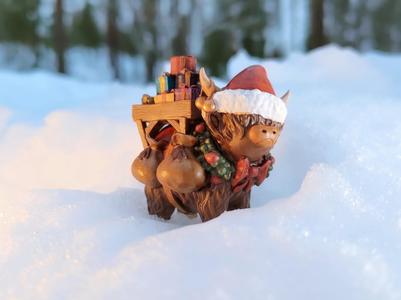 Festive Coo