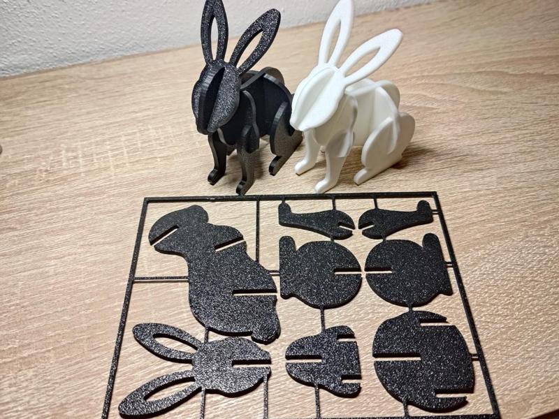 Rabbit Kit Card
