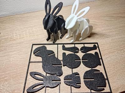Rabbit Kit Card