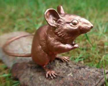 Wood Mouse