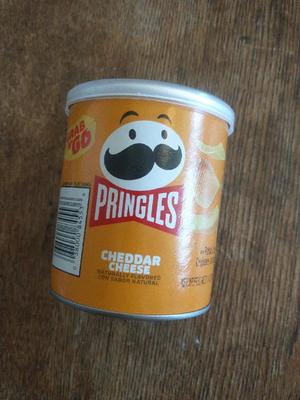 Pringles Can Lid   