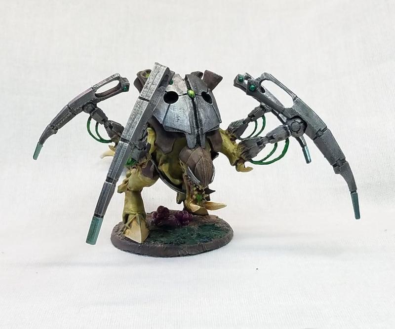 Nidcronasaurus-Fex
