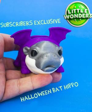 Baby Hippo