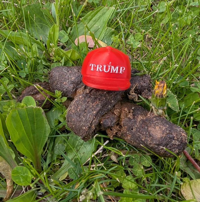 TRUMP HAT (no toothpick)