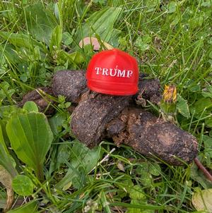 TRUMP HAT (no toothpick)