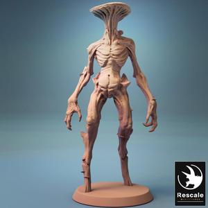 Mushroom Soldier
